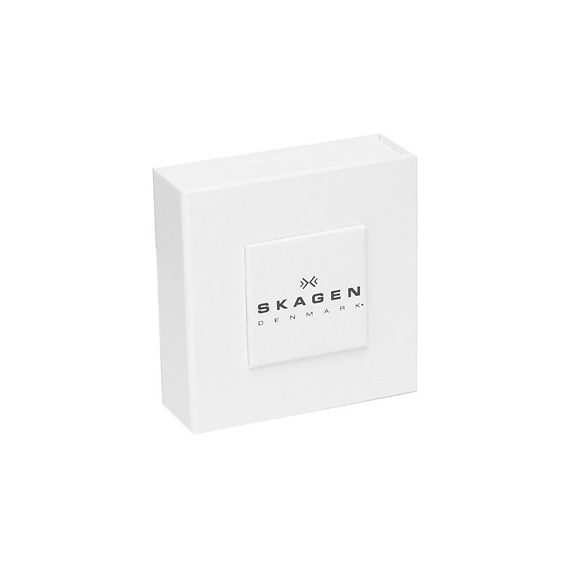 Emballage bracelets Skagen SKJM0175040