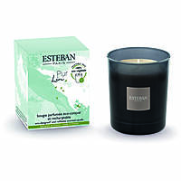 bougies Esteban pur lin LIN-008