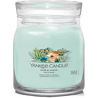 bougies Yankee Candle SS24 Q1 1749328E