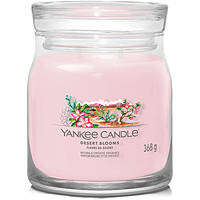 bougies Yankee Candle SS24 Q1 1749330E