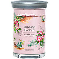 bougies Yankee Candle SS24 Q1 1749339E