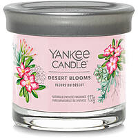 bougies Yankee Candle SS24 Q1 1749350E