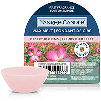bougies Yankee Candle SS24 Q1 1750737E