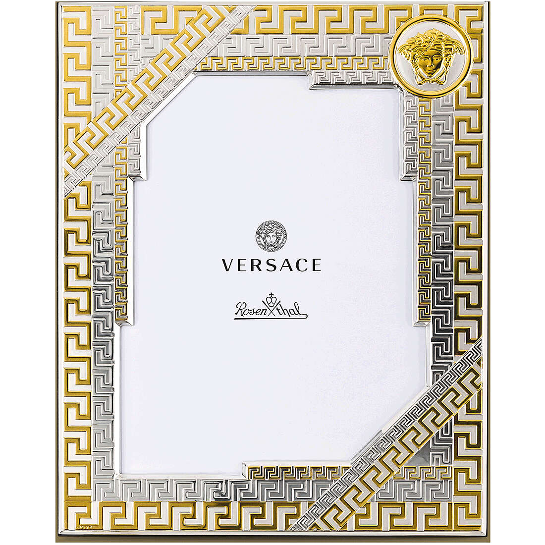 cadre en argent Versace VS0102/9D
