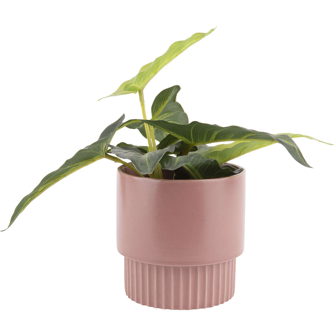 vase Present Time Plant Pot PT3695PI